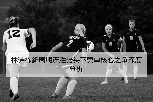 lin-shi-dong-xin-zhou-qi-lian-sheng-shi-tou-xia-nan-dan-he-xin-zhi-zheng-shen-du-fen-xi-2-763.jpg